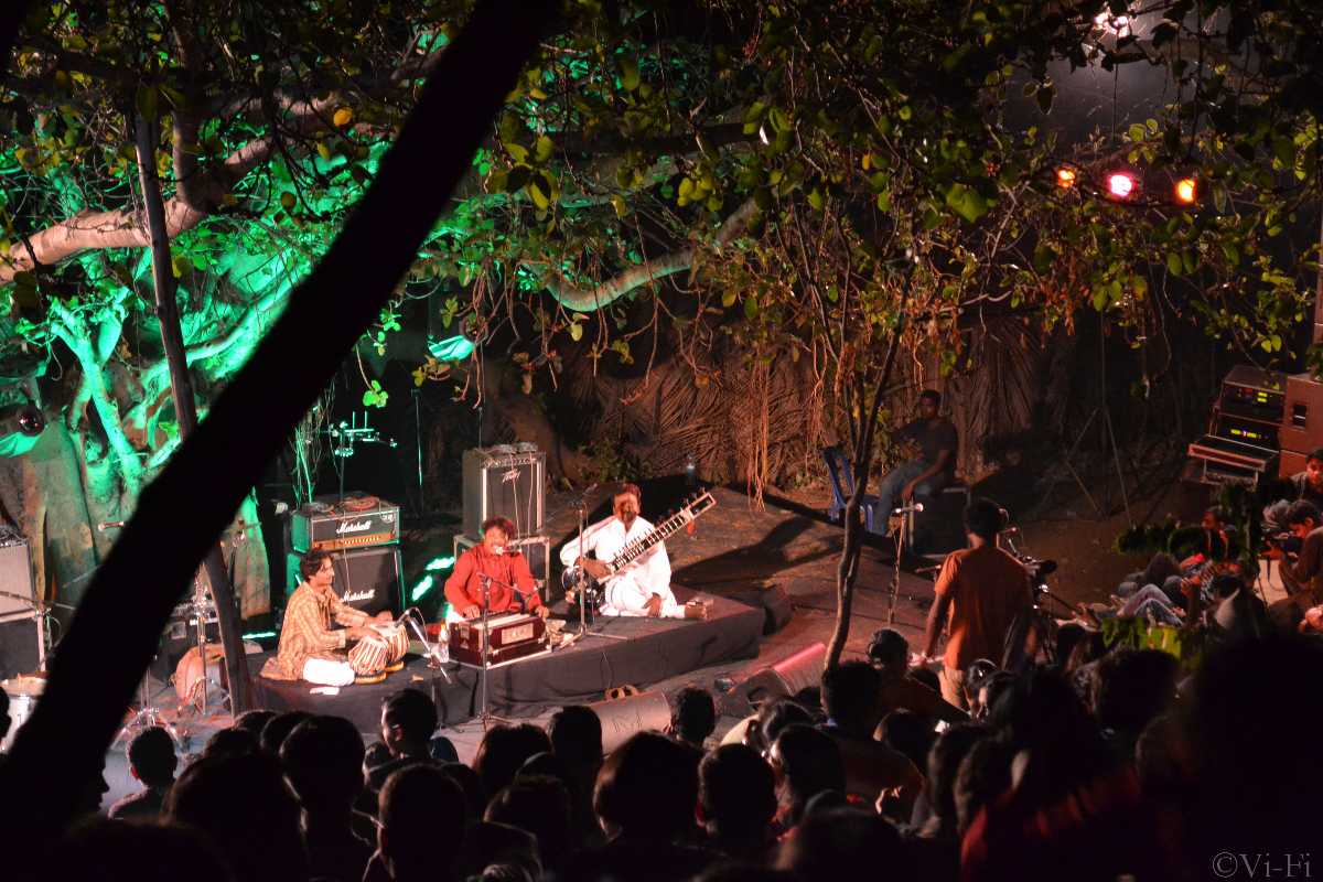 印度的音乐节，萤火虫