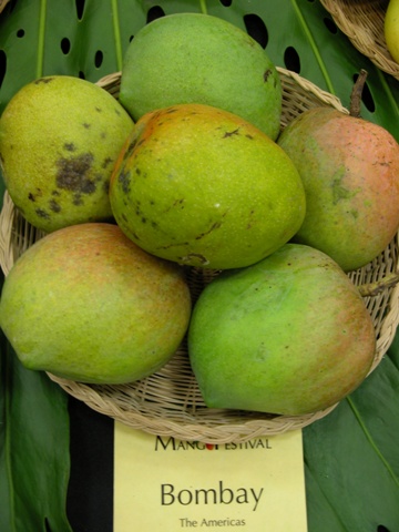 孟买绿芒果，印度芒果