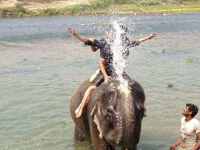大象洗澡