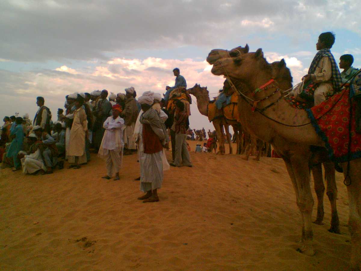 沙漠节日拉贾斯坦邦