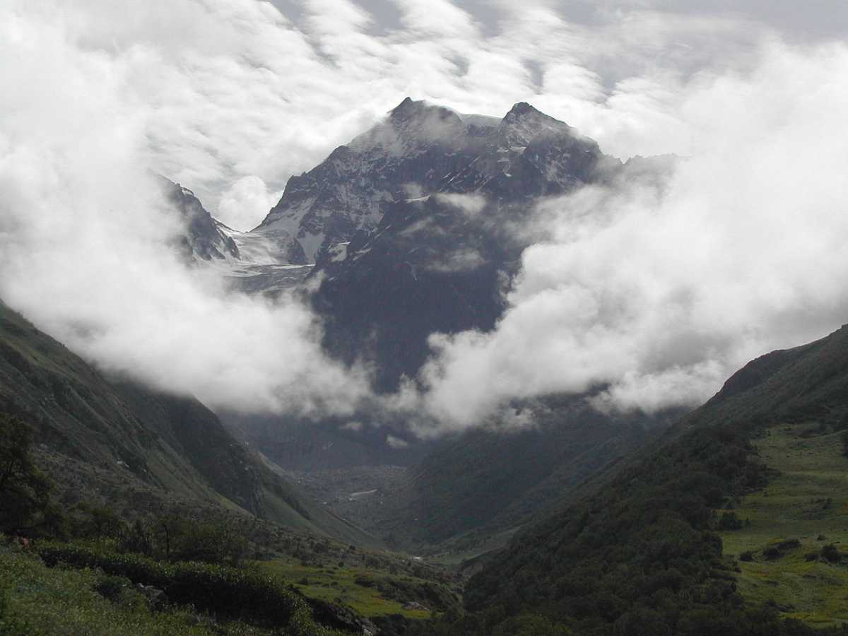 从花谷看喜马拉雅山