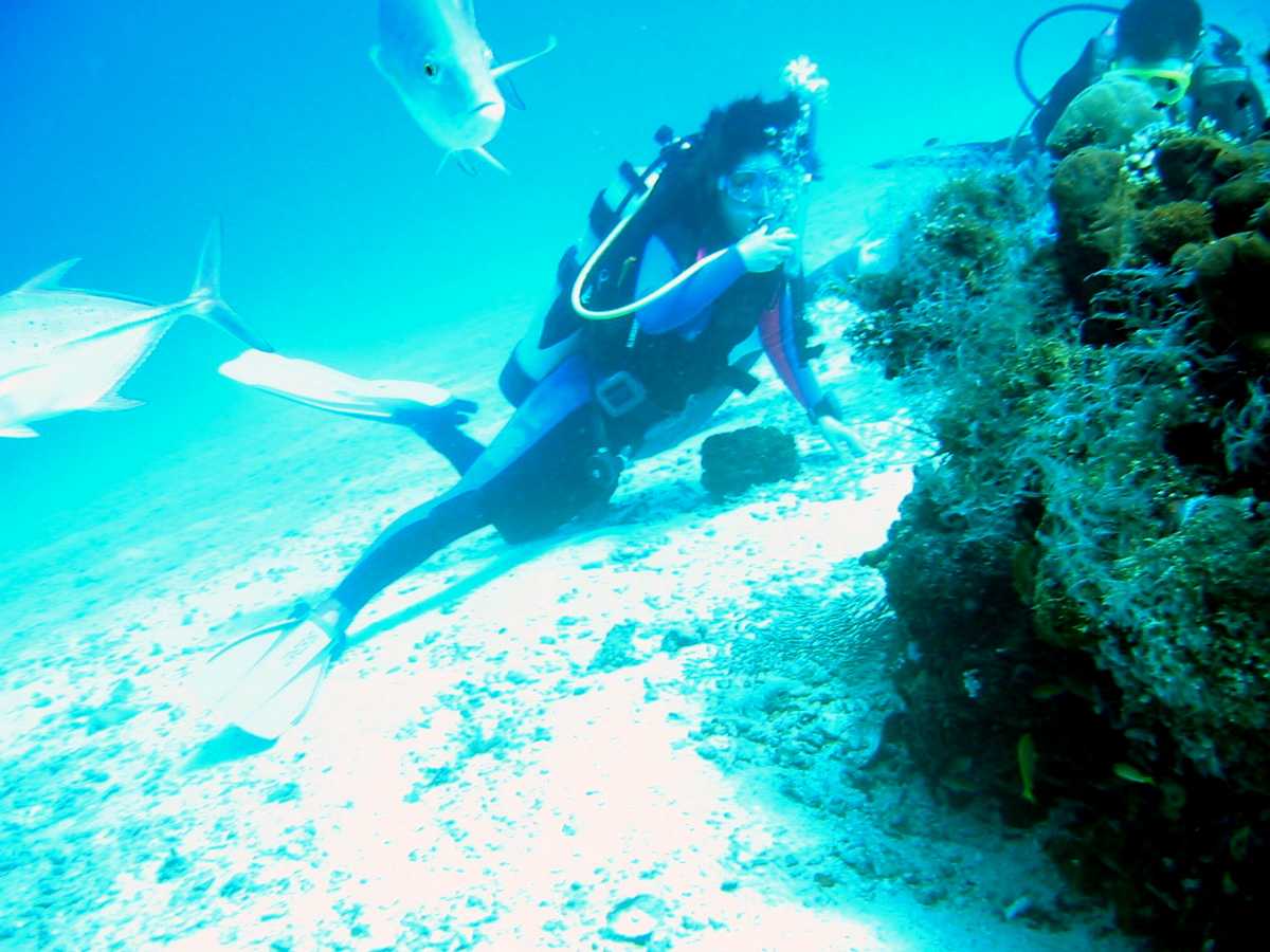在巴厘岛潜水,Menjangan岛