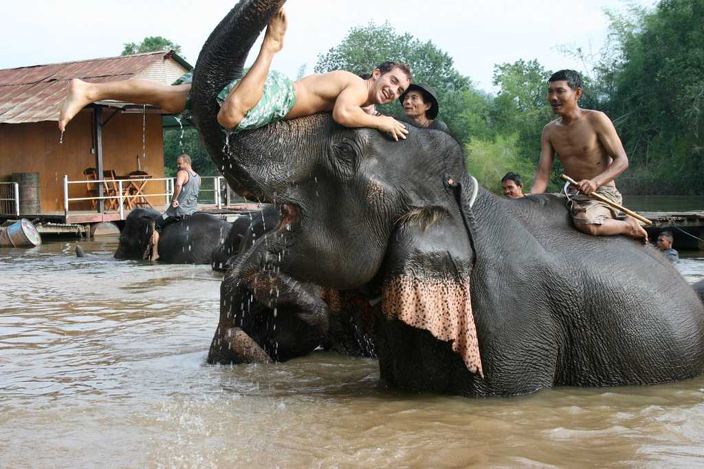 大象在卡瓦伊河里洗澡