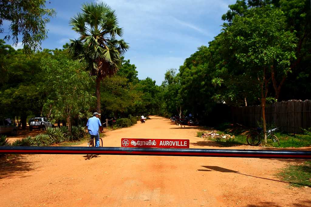 夏季,Auroville