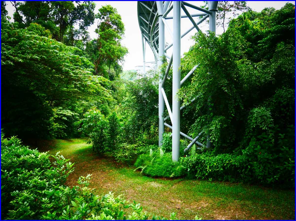 Fort Siloso Trail新加坡
