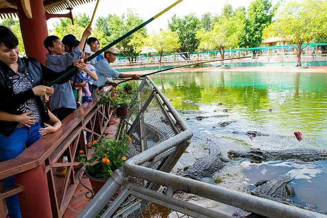 鳄鱼在Suoi Tien主题公园