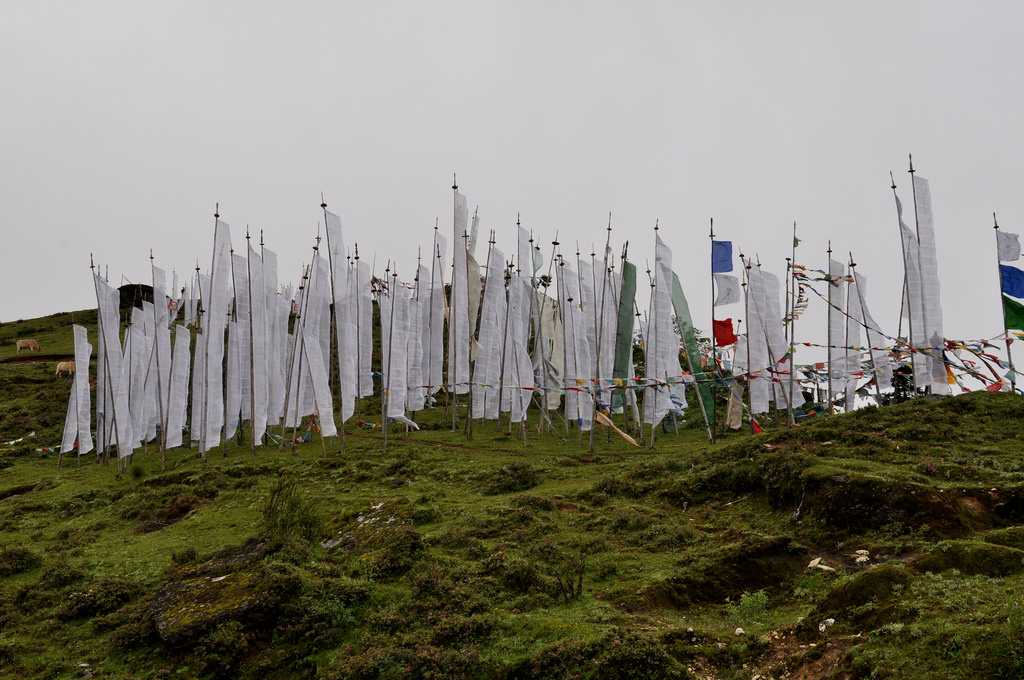 祈祷旗帜在Chele拉通过不丹