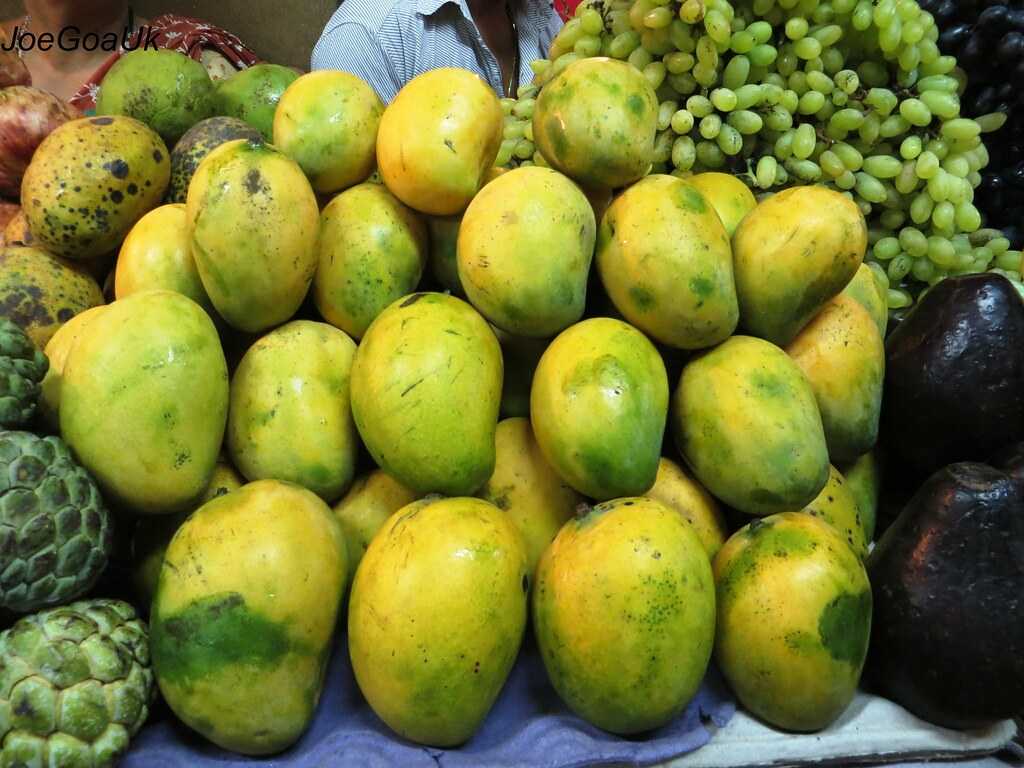 尼兰芒果，印度的芒果