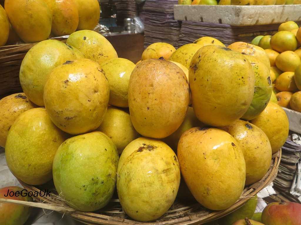 Mankurad芒果，印度的芒果