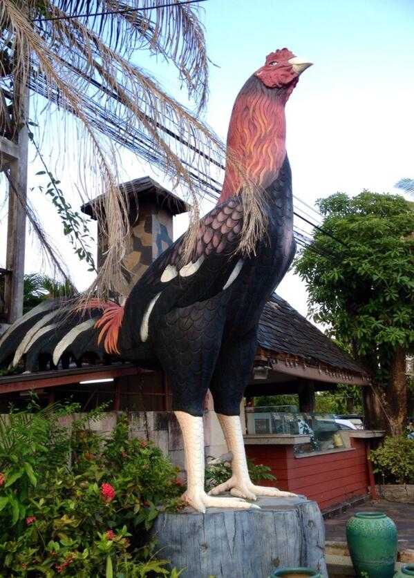 普吉岛大鸡清真餐厅的巨型鸡雕像