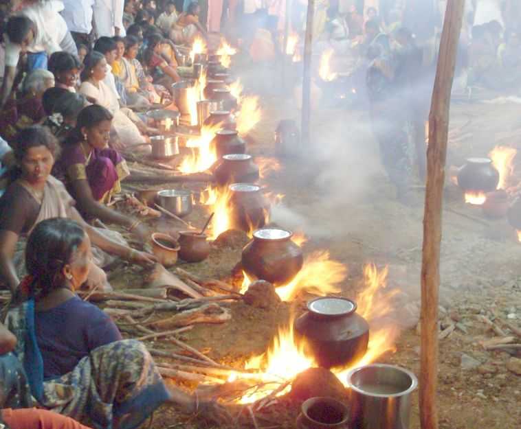 Pongal，最著名的南印度节日