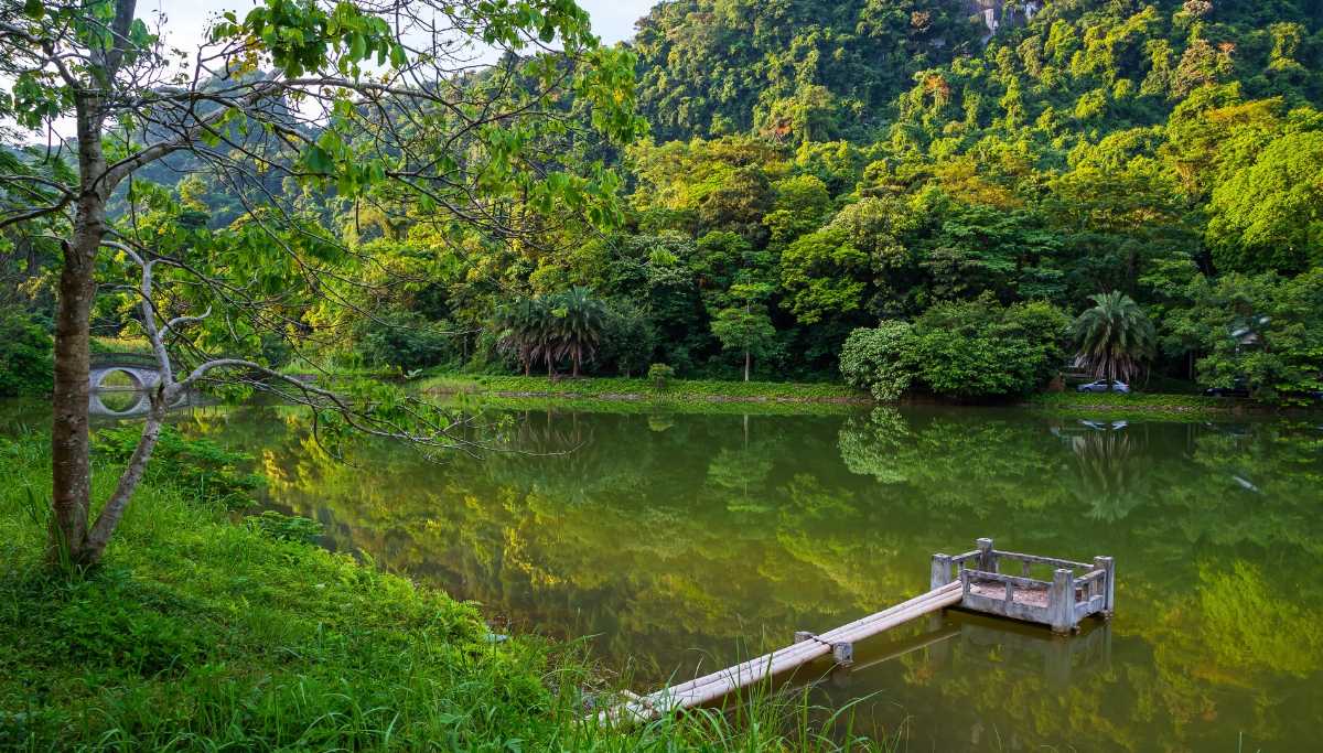 中联科利Phuong国家公园,自然徒步旅行在越南