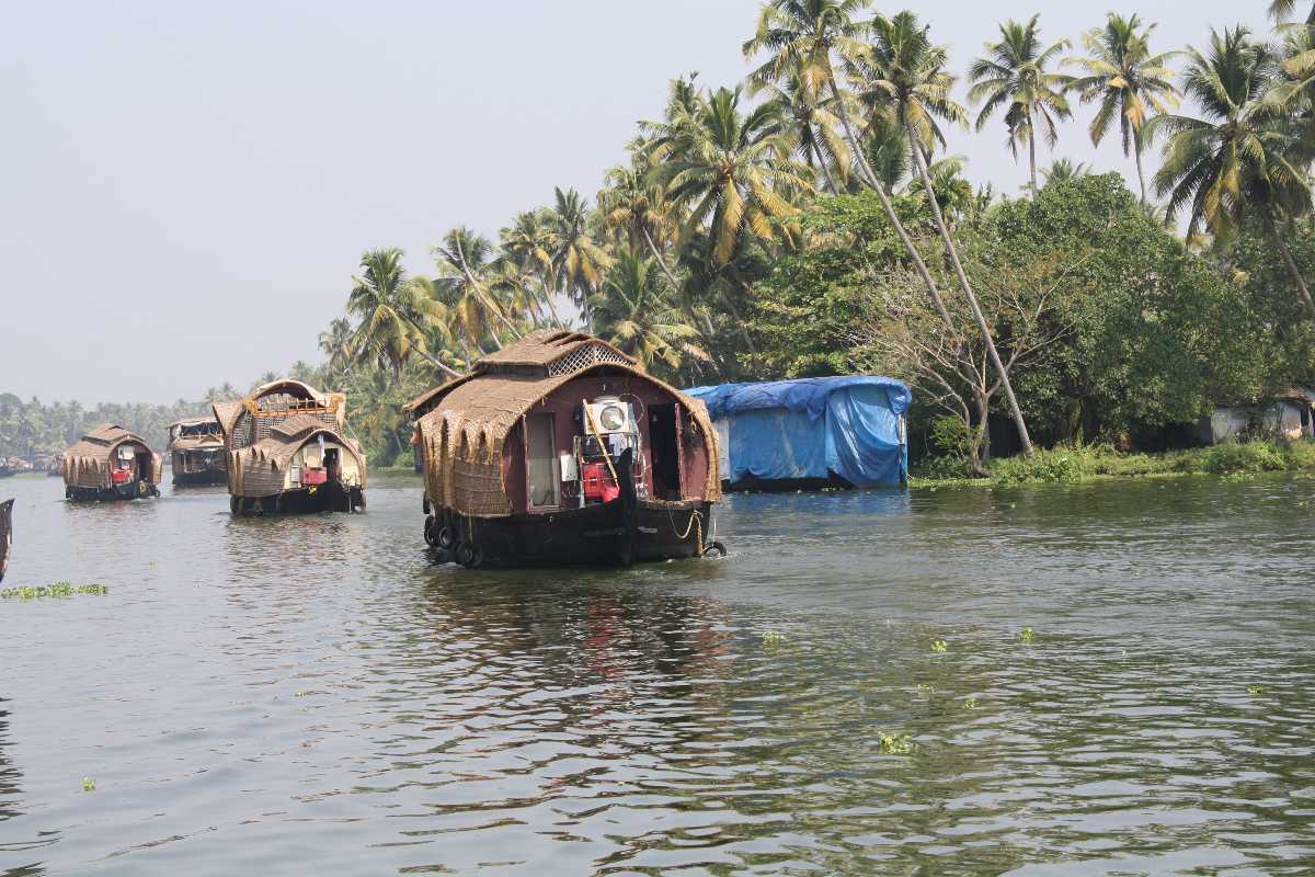 Kumarakom Backwaters，印度划船