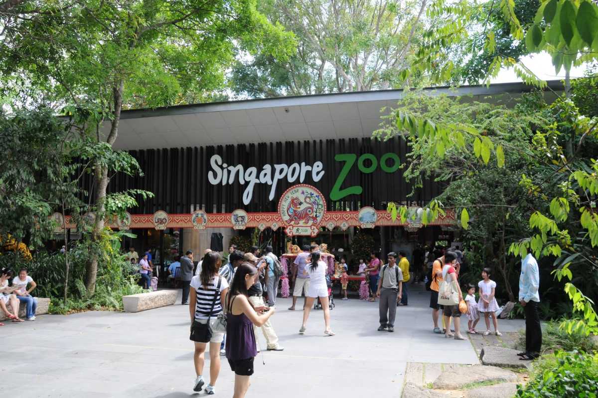 新加坡动物园,动物园