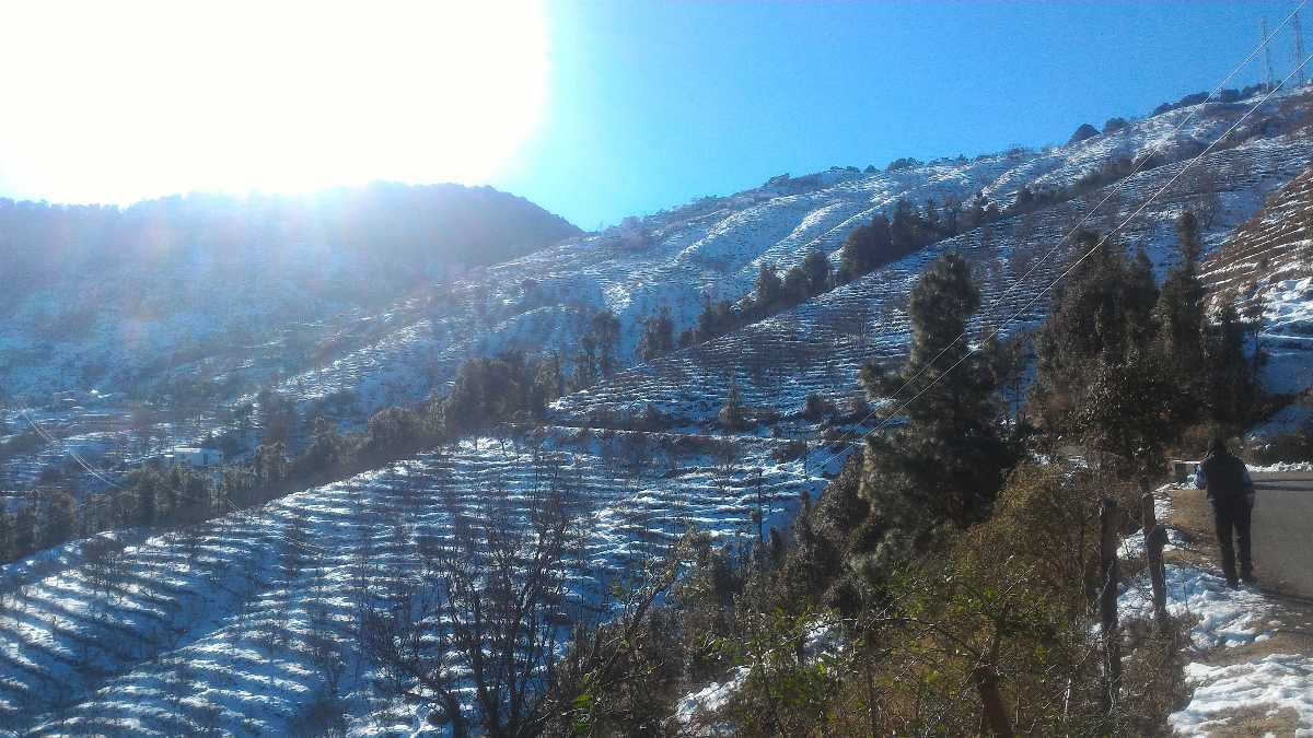 梯田耕作中的雪