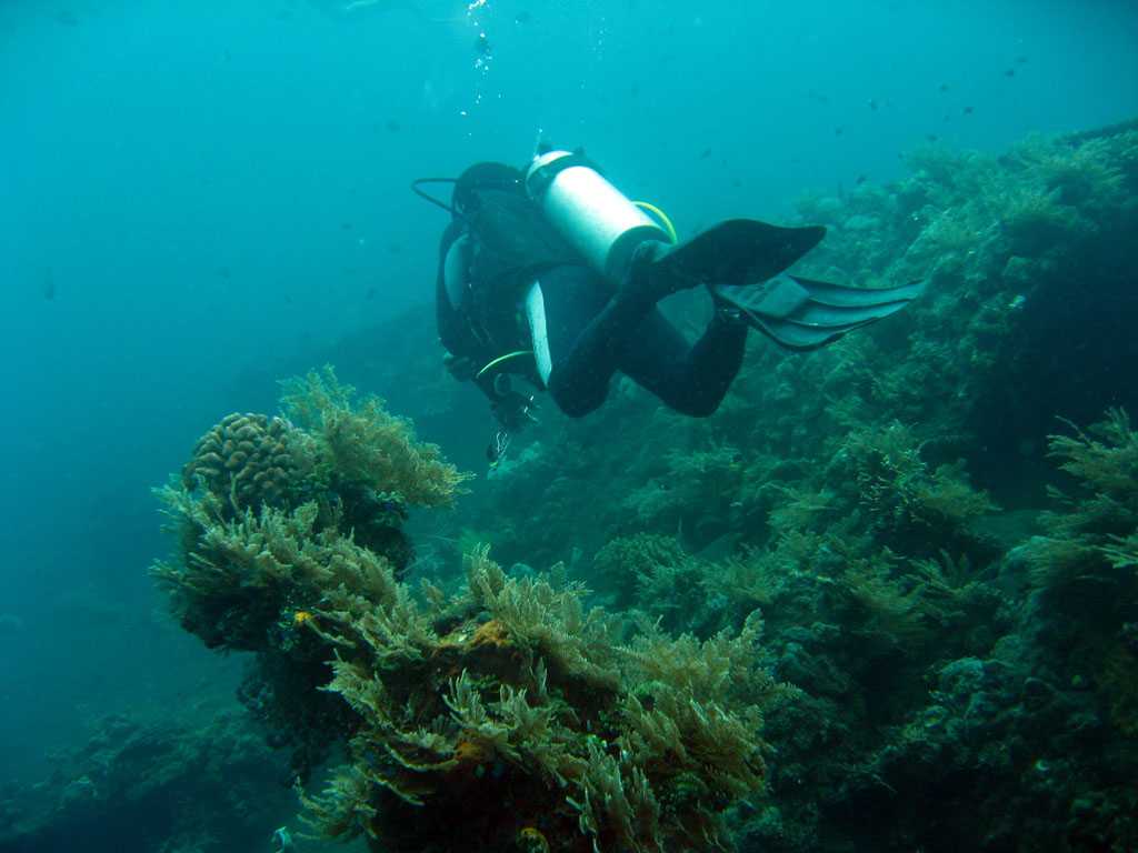 在巴厘岛潜水,自由之光海难