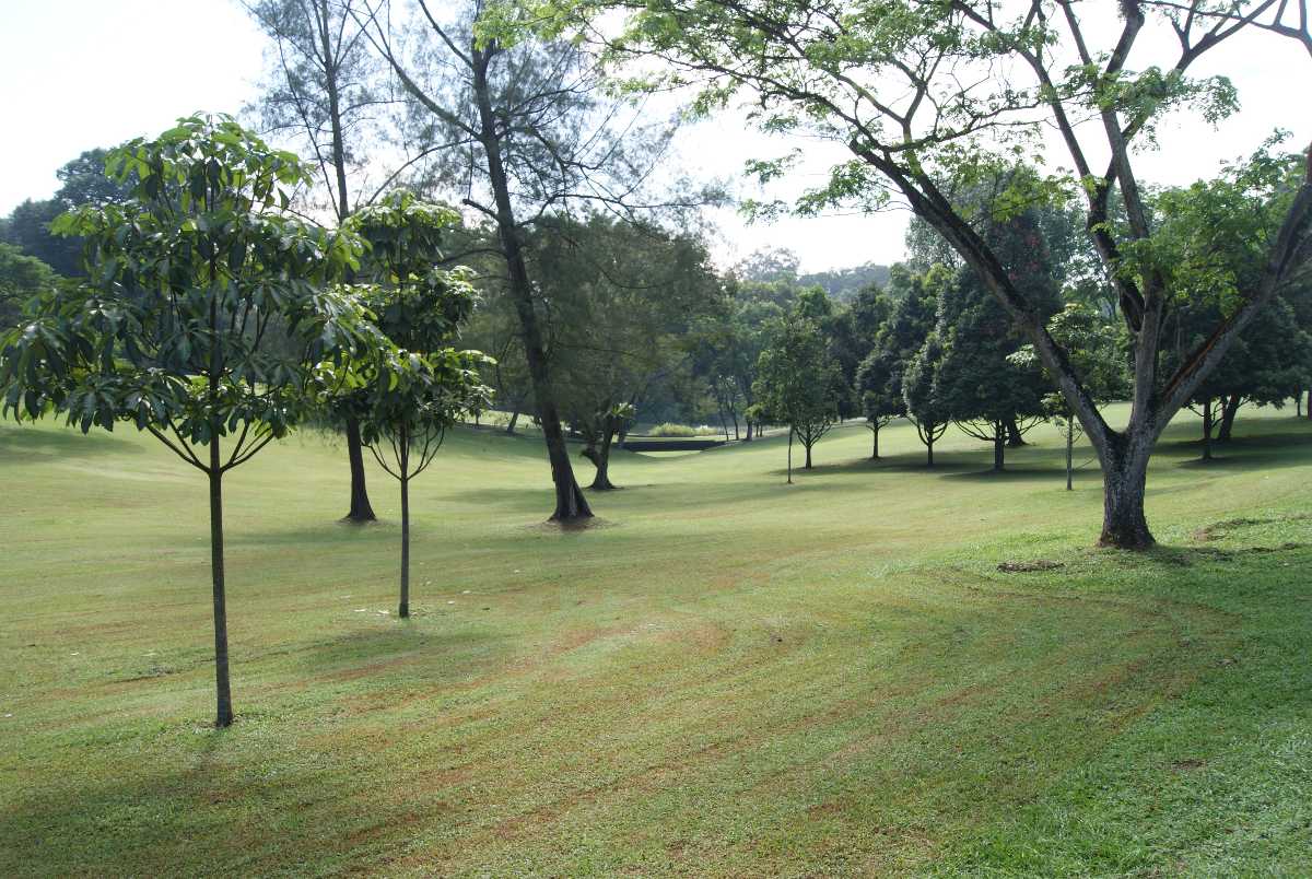 新加坡岛乡村俱乐部，高尔夫球场在新加坡