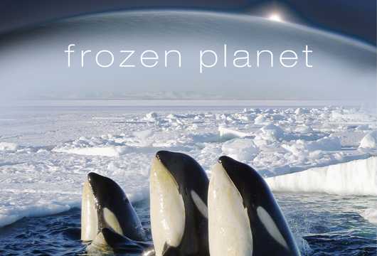 《冰冻星球》，旅行纪录片