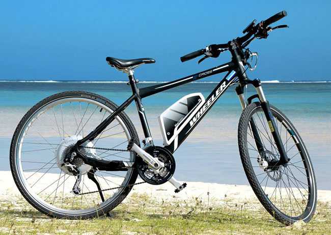 租一辆电动自行车，在毛里求斯骑车